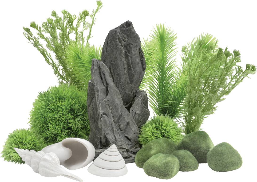 Kolekcja zielonych roślin, szarych skał i białych muszli ułożonych razem, tworząca naturalną i spokojną scenę wodną.
