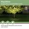 'Plug & Shine: Przyjemne ciepłe białe światło. Nastrojowa atmosfera na tarasie lub w ogrodzie.' Drzewo z ciepłym białym oświetleniem.