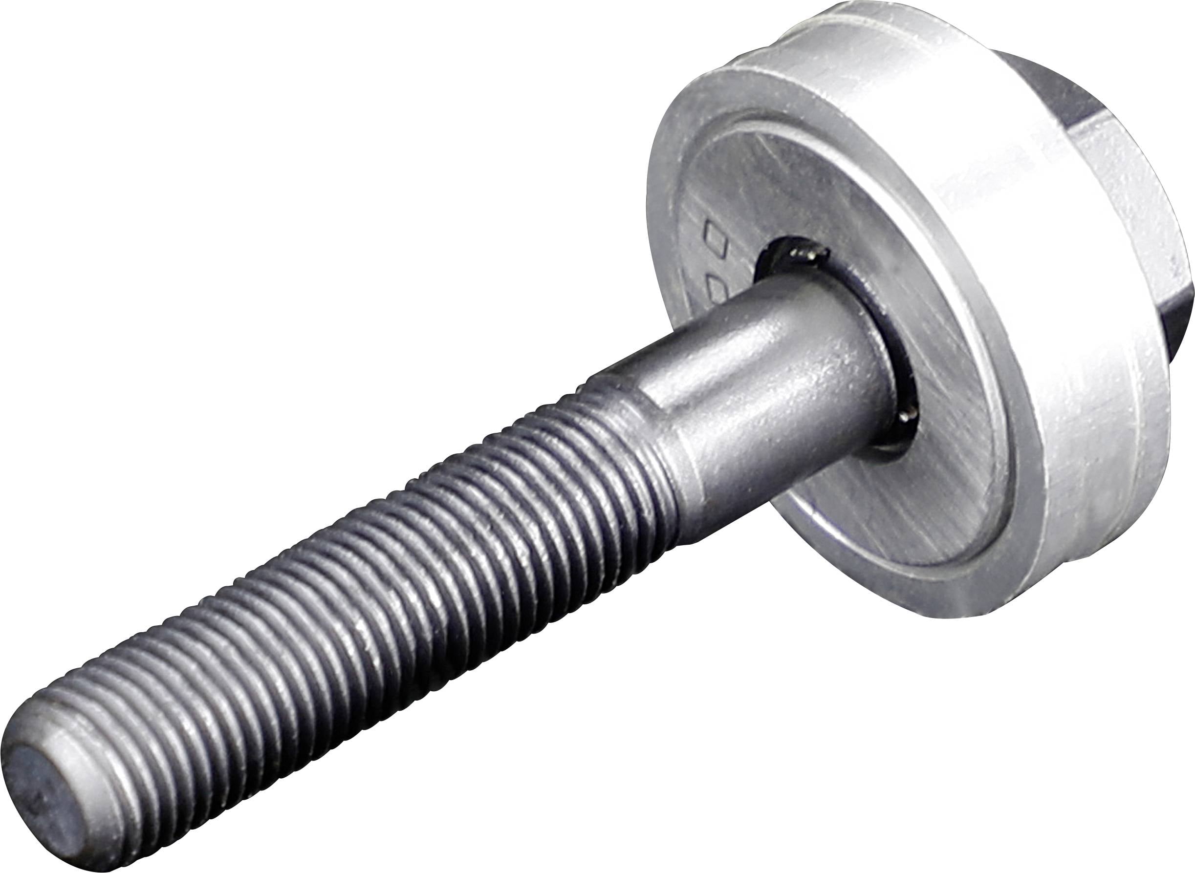 Затискний гвинт з кульковим підшипником Rittal 4055631 1 шт.