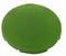 Zielony okrąg na białym tle.