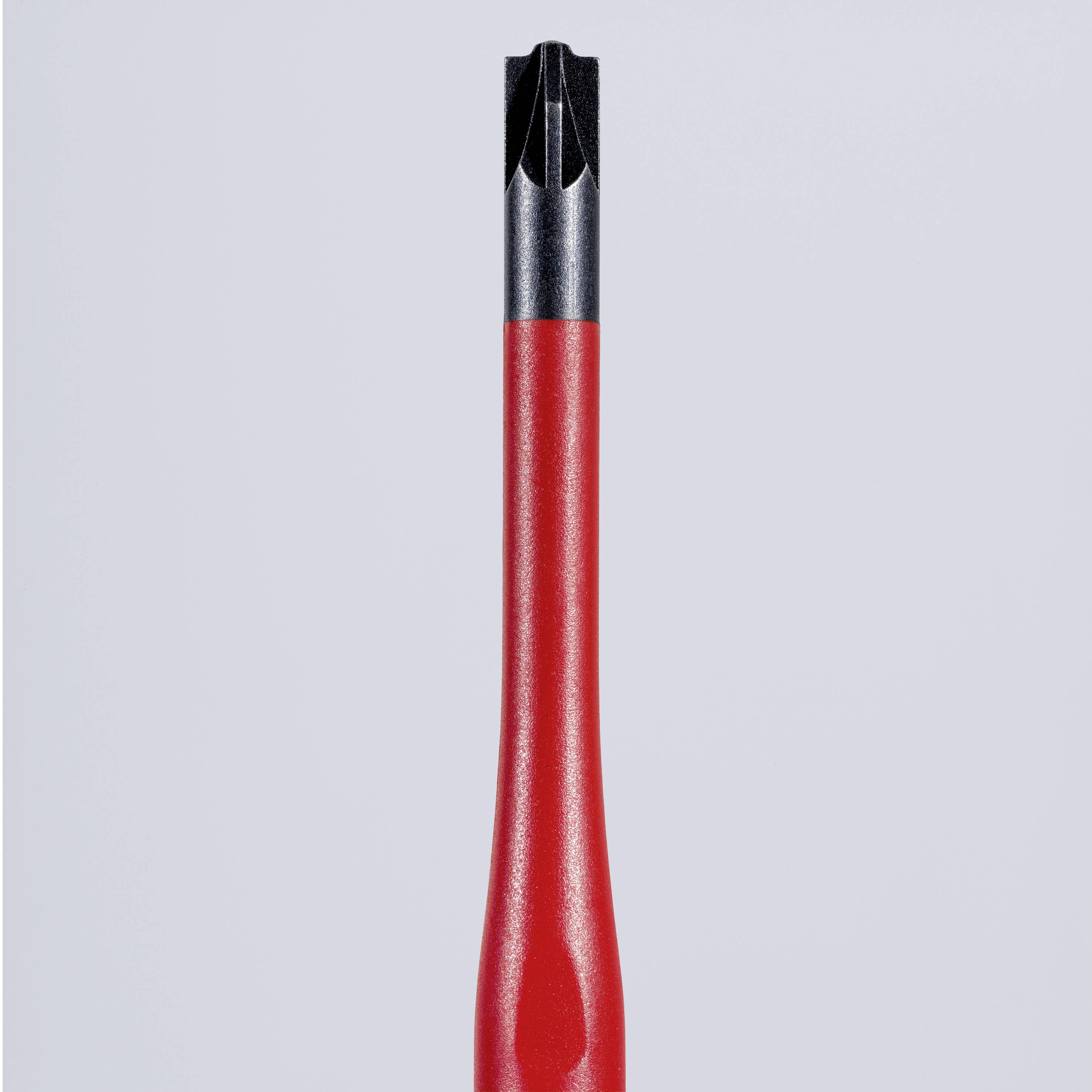 Викрутка Knipex neu плюс/мінус 98 25 01 SLS 1 шт.