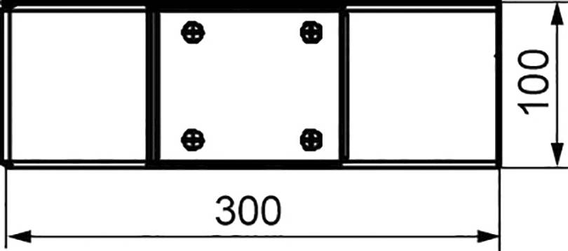 Rysunek techniczny prostokątnego elementu o wymiarach 300 x 100 mm z czterema otworami gwintowanymi pośrodku.