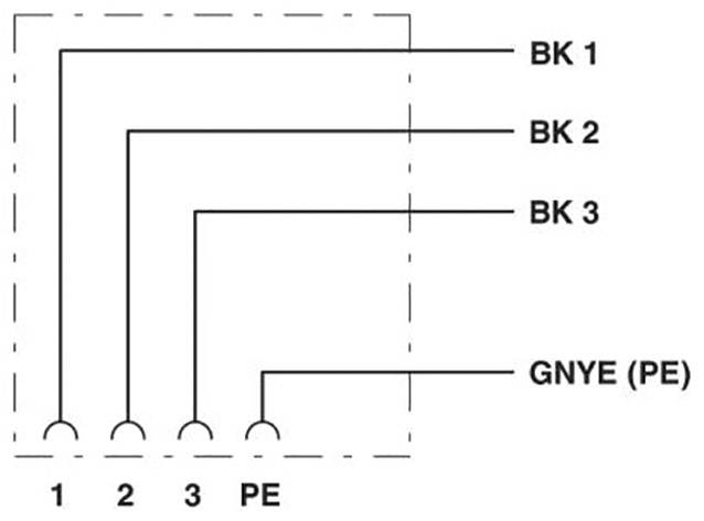Schemat pokazuje połączenie między trzema zaciskami 'BK 1', 'BK 2', 'BK 3' oraz 'GN/YE (PE)' do punktu uziemienia 'PE'.