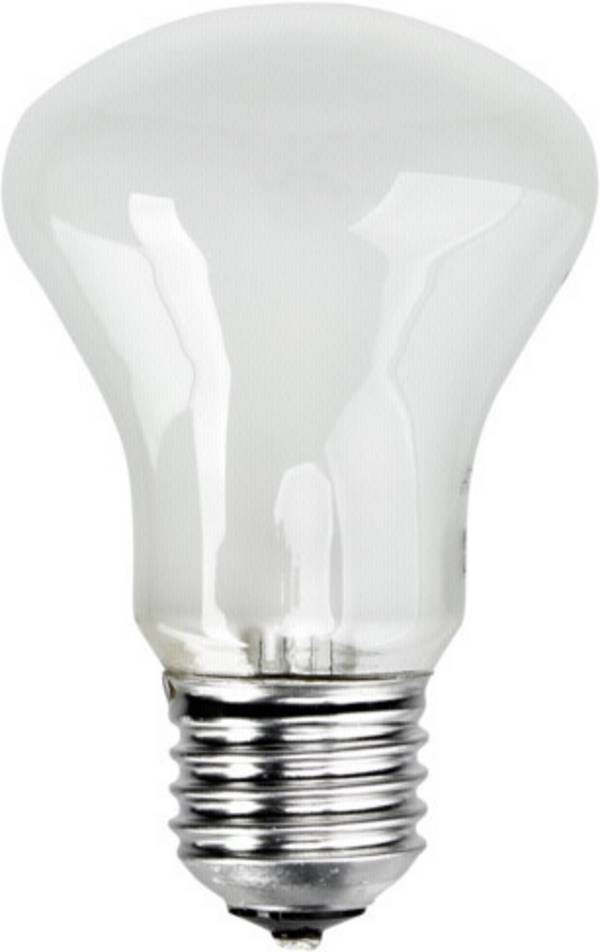Elinchrom Einstellampe 196V/100W E 27 E23002 Żarówka