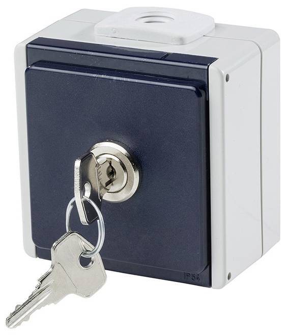 Розетка накладного монтажу AS Schwabe 62460 IP54