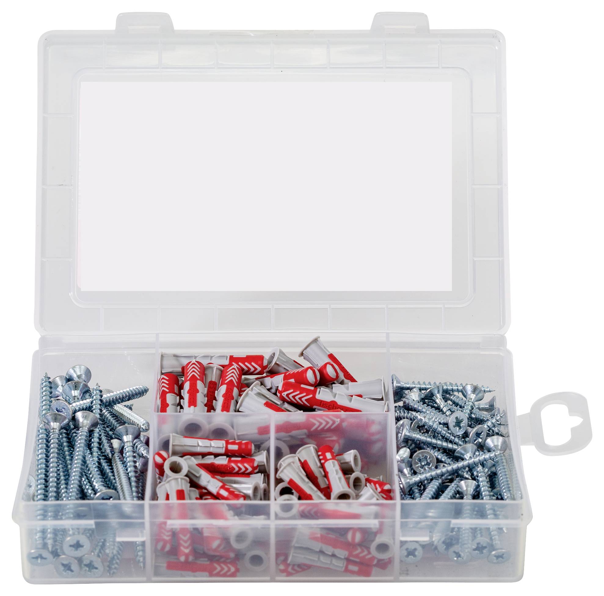 Otwarte pudełko z asortymentem prezentuje różne śruby i kołki w oddzielnych przegródkach.