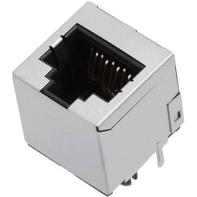 Srebrny port Ethernet w zbliżeniu z widocznymi złotymi stykami, umieszczony w prostokątnej metalowej obudowie.