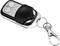 'Brelok z pilotem, dwoma przyciskami i karabińczykiem.'