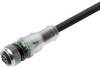 Weidmüller 1094190200 Kabel połączeniowy czujnika/aktuatora M12 2 m Ilość pinów: 4 1 szt. sztuka