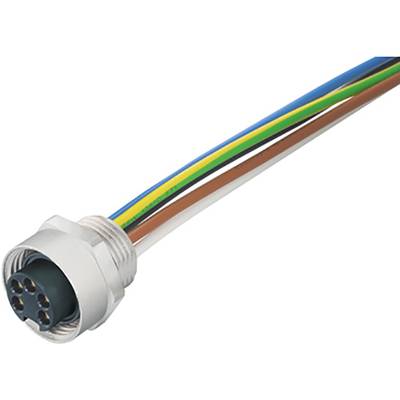 Wielokolorowy kabel przyłączeniowy pięciożyłowy ze złączem. Odpowiedni do połączeń elektrycznych lub instalacji.