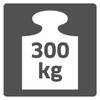 Symbol obciążenia z napisem '300 kg' wskazuje maksymalną nośność.