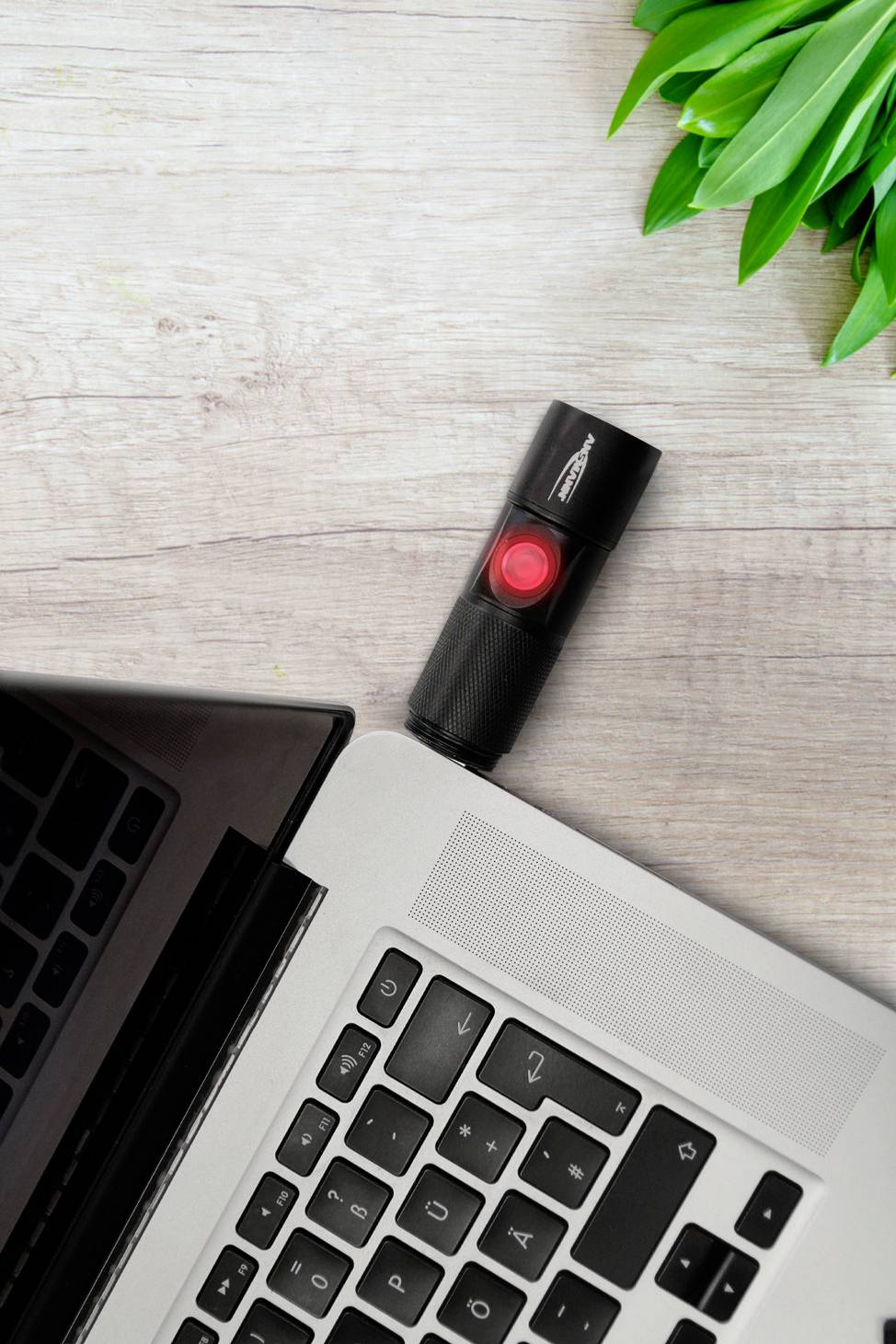 Czarny pendrive z czerwoną nakładką jest włożony do laptopa, który stoi na drewnianym stole obok zielonych liści.