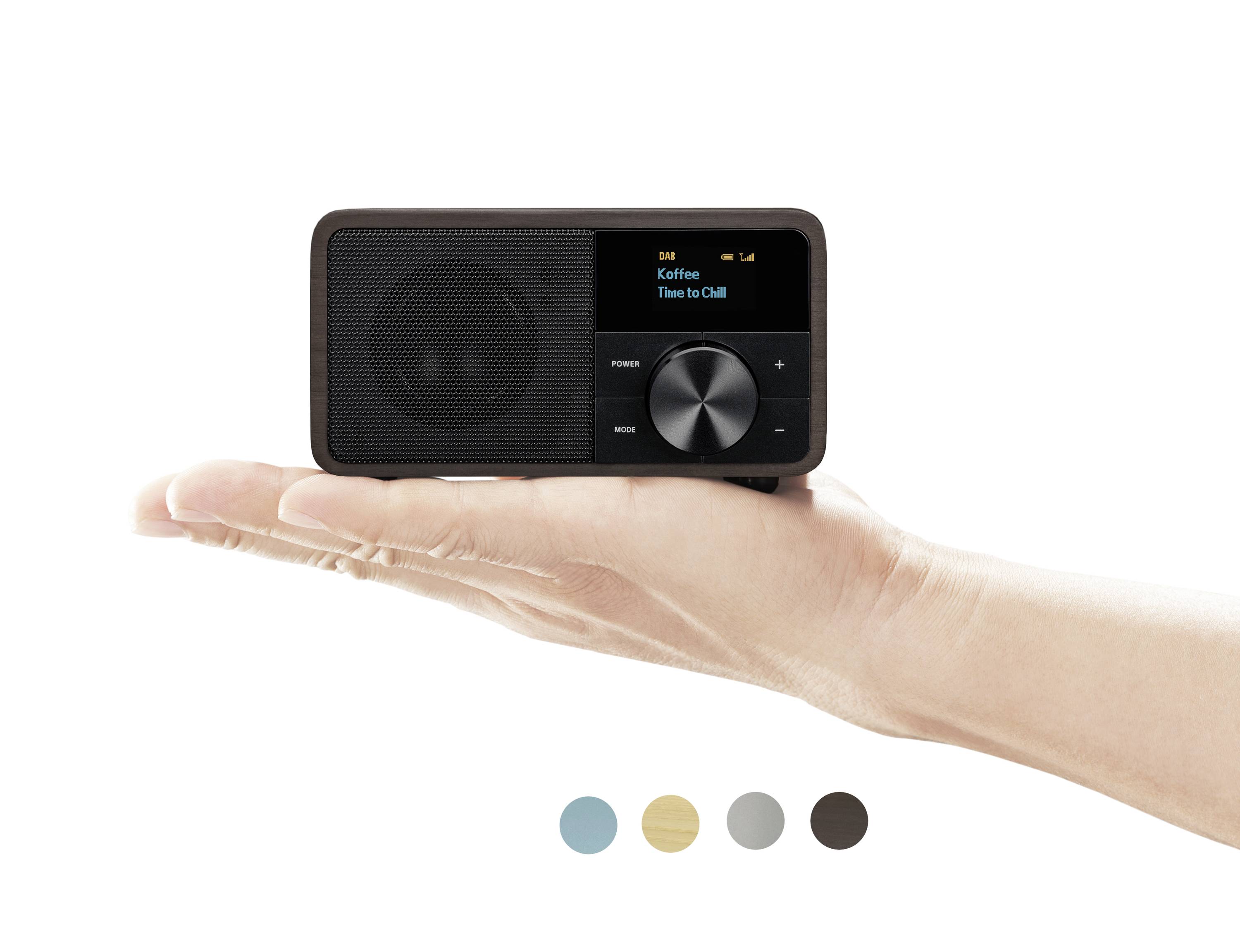 Mały, prostokątny głośnik z ekranem, który można trzymać w ręku. Na ekranie wyświetlane są napisy "Kaffeekunst" i "Time to Chill".