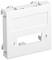 Biały moduł z tworzywa sztucznego z prostokątnym wycięciem i dwoma otworami mocującymi; stosowany w instalacjach elektrycznych.