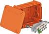 Puszka instalacyjna OBO Bettermann T 100 ED 10-5 7205533, 151 mm x 117 mm x 67 mm, 1 szt.
