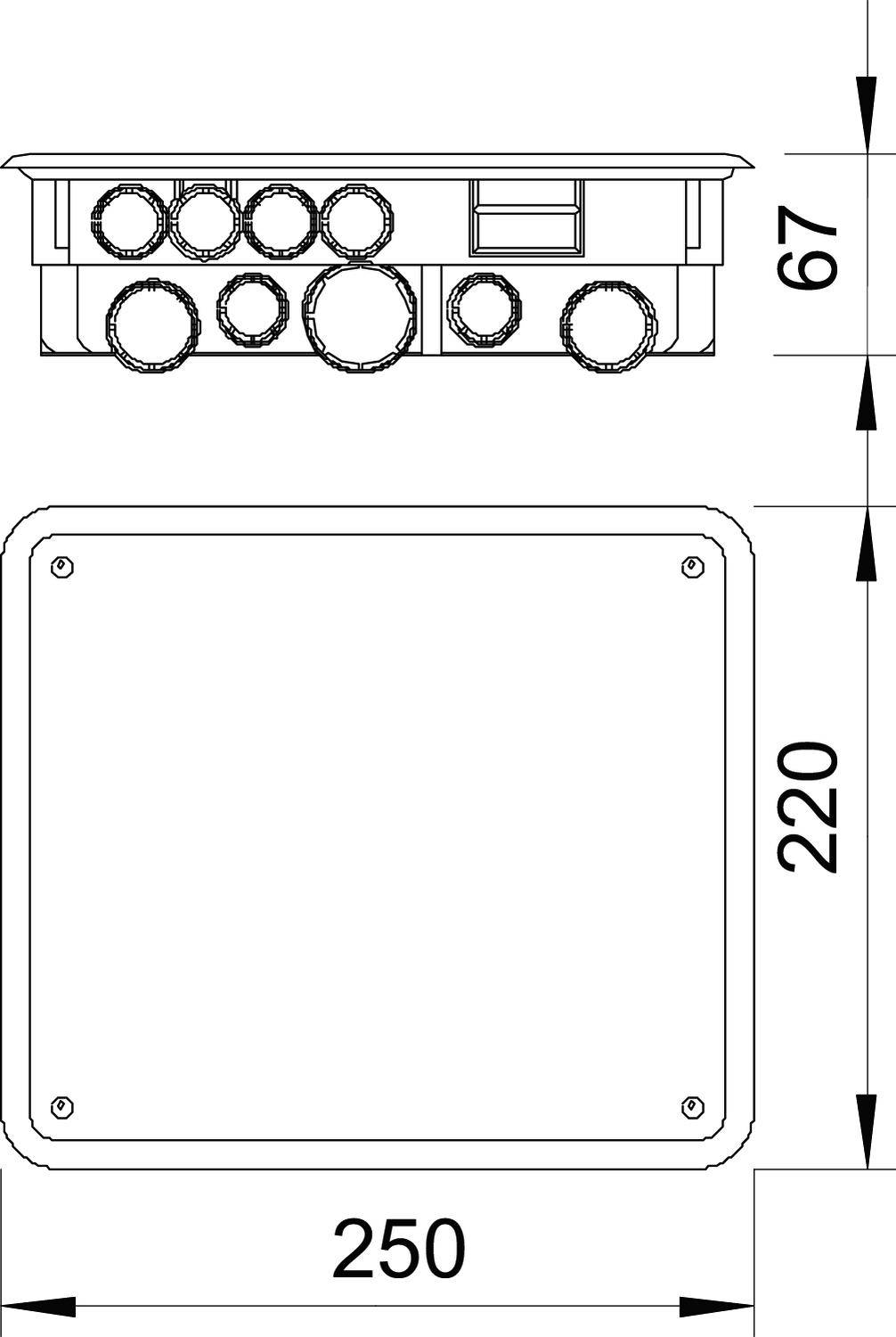 Rysunek techniczny prostokątnego modułu z różnymi przyłączami i wymiarami: 250 szerokości, 220 wysokości, 67 głębokości.