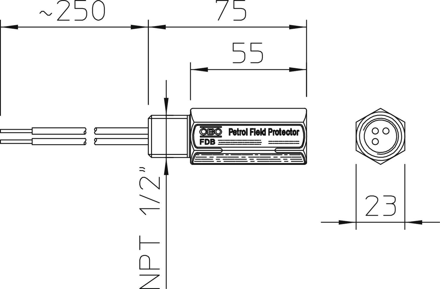 Rysunek techniczny 'Petrol Field Protector' z wymiarami: długość około 250 mm, szerokość 23 mm oraz szczegółami przyłącza 1/2" NPT.
