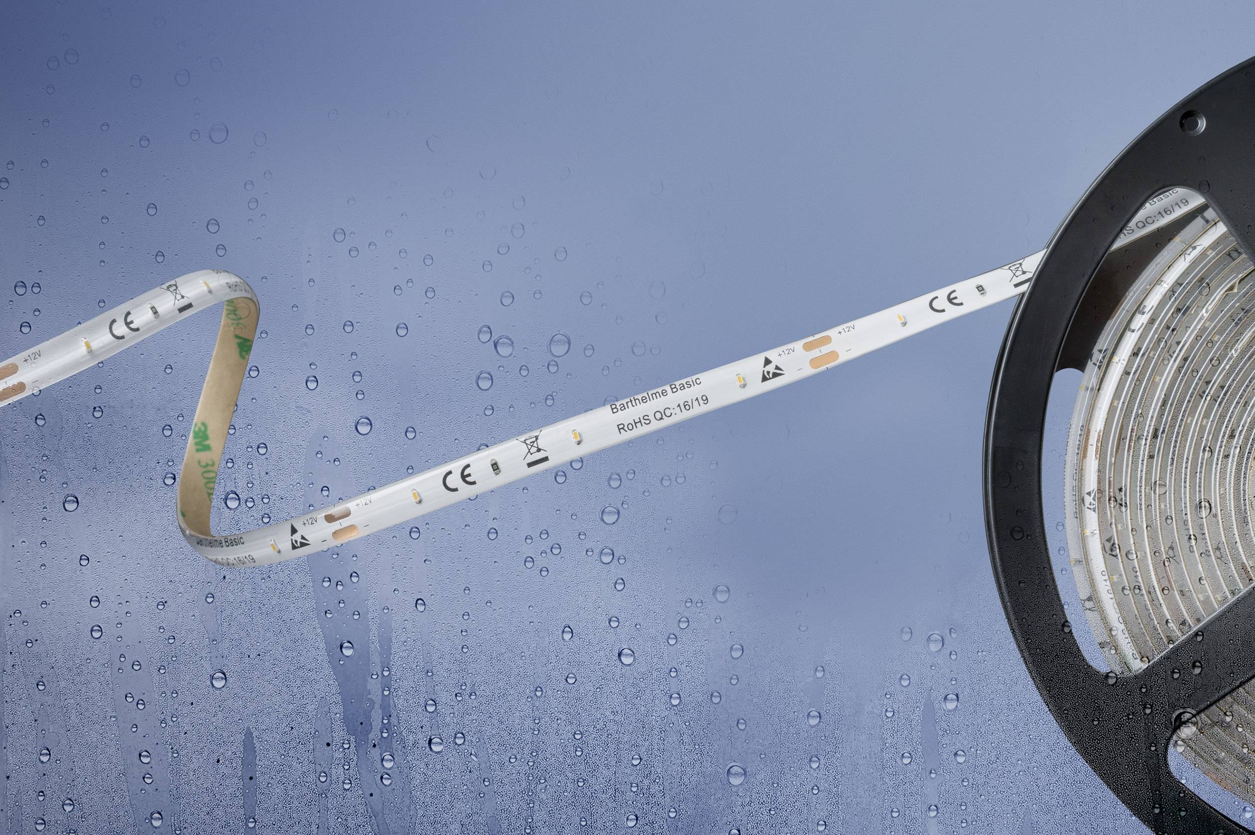 Світлодіодна стрічка Barthelme 51540428 51540428 5 м 12 В