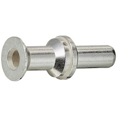 Srebrny metalowy pręt z szerokim, płaskim końcem i węższą, okrągłą częścią.