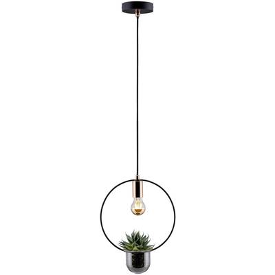 Lampa wisząca z okrągłą metalową oprawą i żarówką, pod nią szklany pojemnik z małą rośliną.