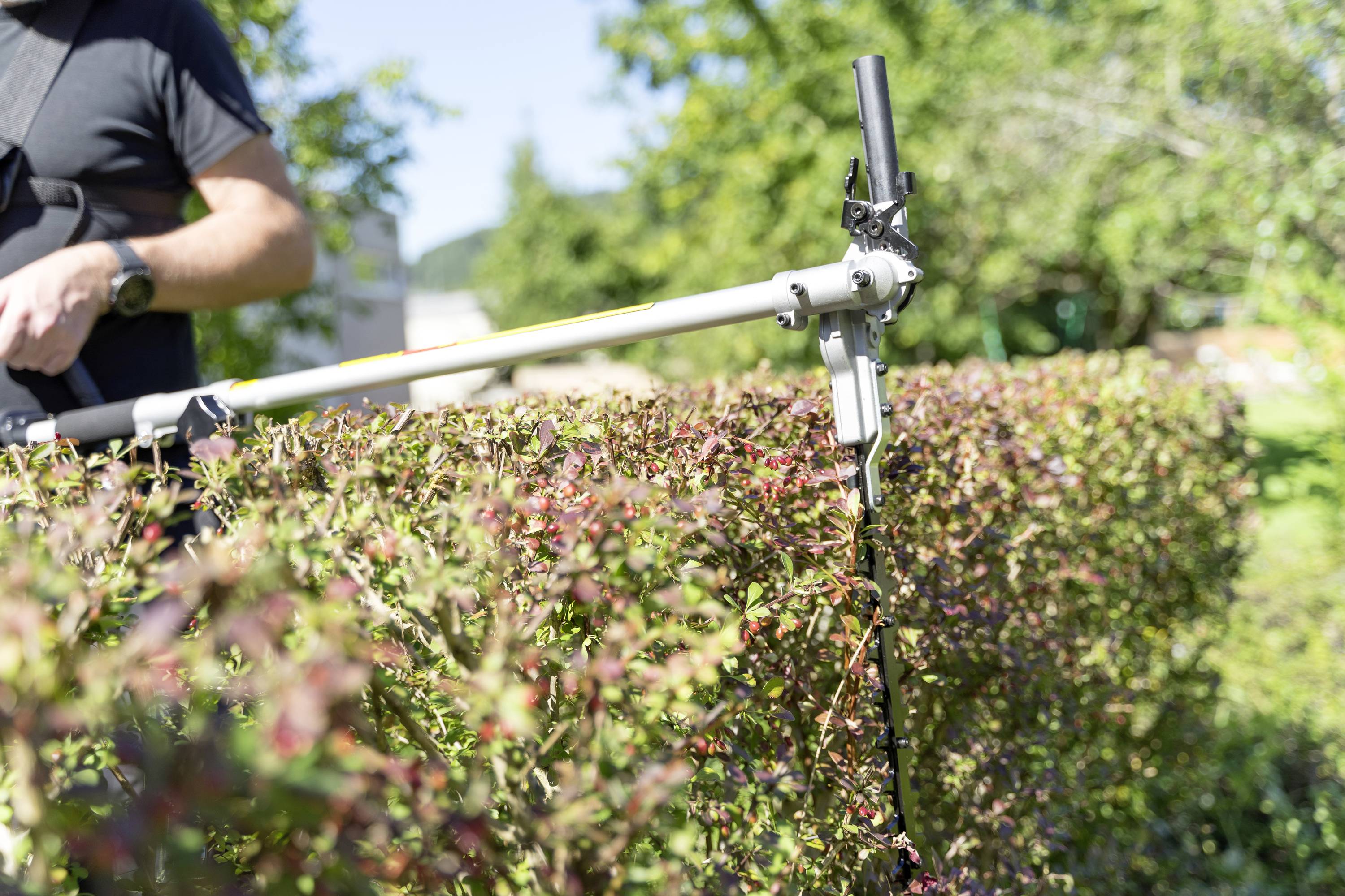 Mężczyzna przycina żywopłot elektryczną sekatorową nożycą w słoneczny dzień. Krzewy na pierwszym planie, drzewa w tle.