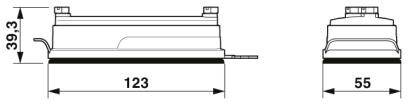 Rysunek techniczny prostokątnego elementu z wymiarami: wysokość 39,3 mm, długość 123 mm, szerokość 55 mm.