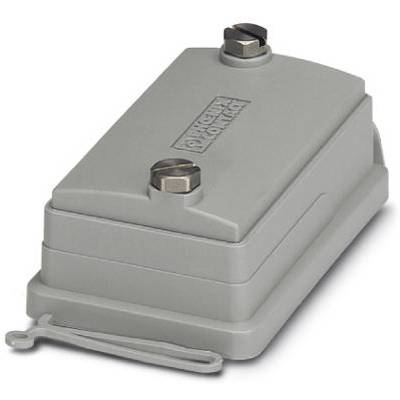 Metalowa obudowa w kształcie prostokąta z dwoma śrubami u góry, w kolorze szarym, prawdopodobnie służąca do ochrony lub zakrycia elementów elektronicznych.