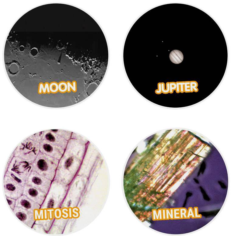Cztery okrągłe obrazy: 'Księżyc' przedstawia powierzchnię Księżyca, 'Jowisz' planetę, 'Mitoza' komórki pod mikroskopem, 'Minerał' kolorowe struktury mineralne.