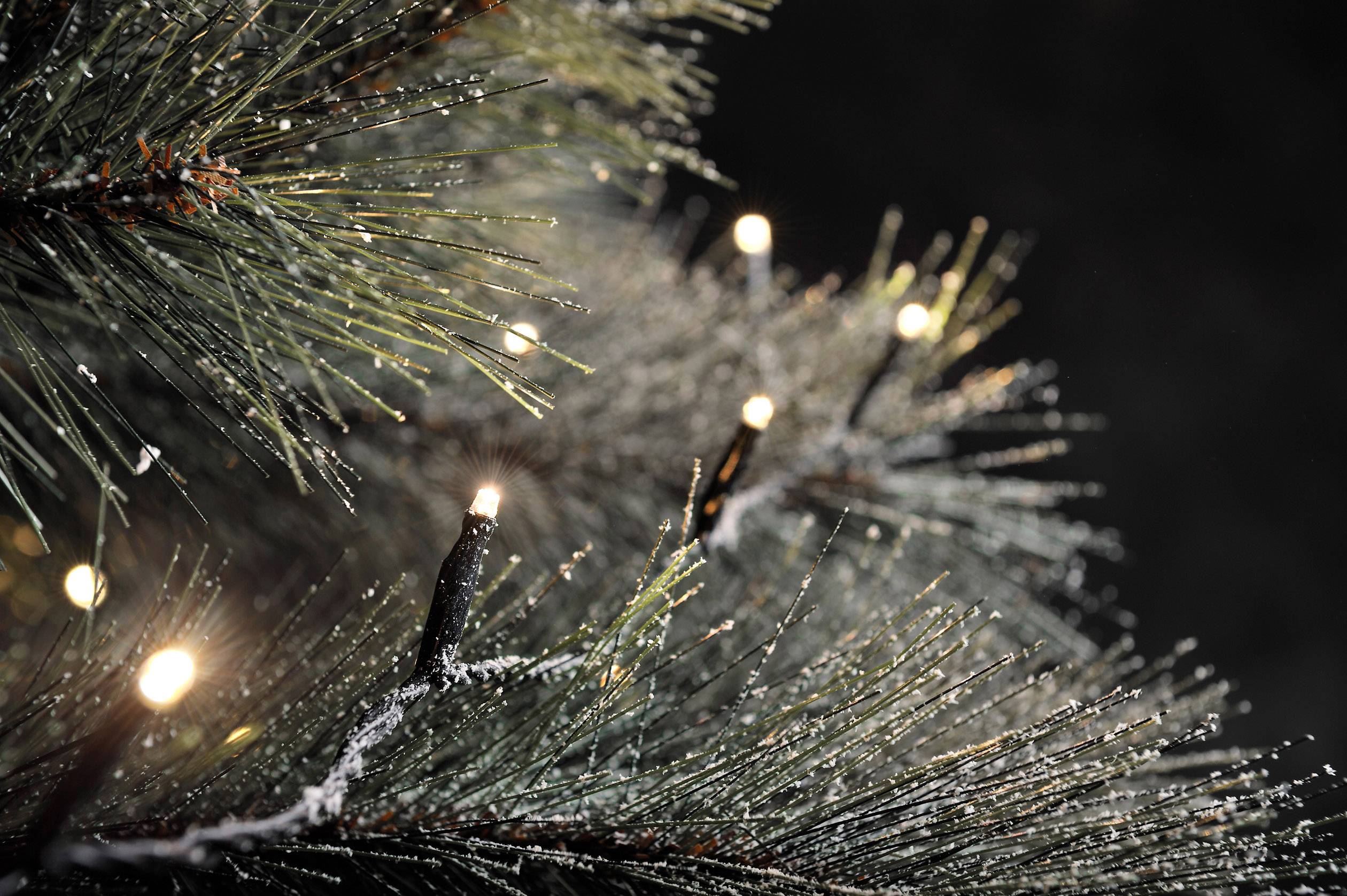 Ланцюг Konstsmide 3957-107 31 V