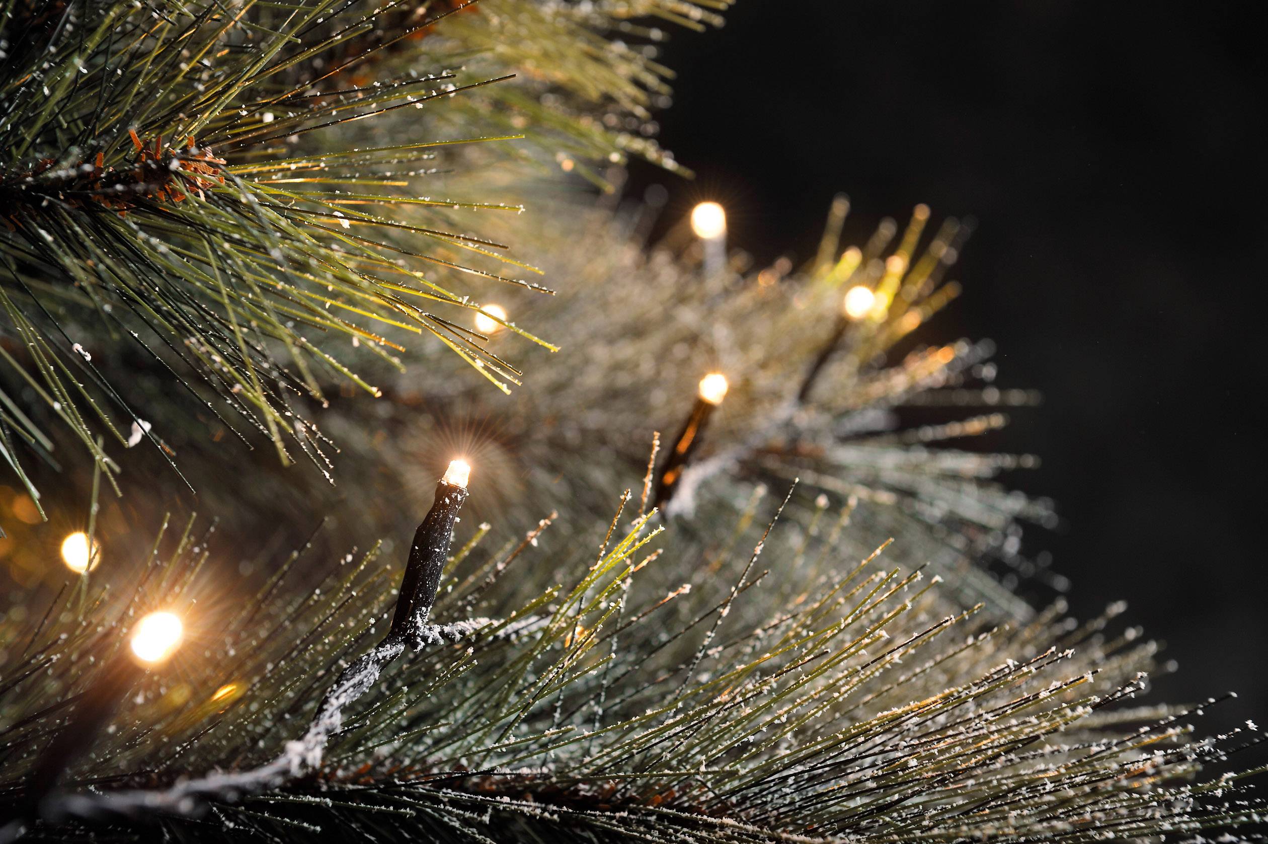 Ланцюг Konstsmide 3957-807 31 V