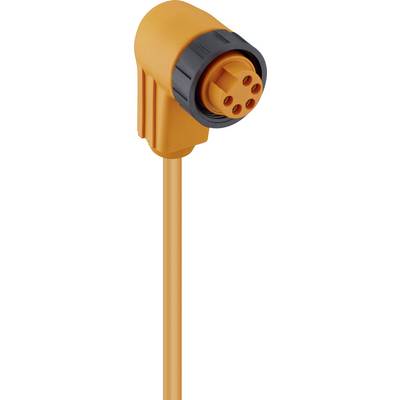 Pomarańczowy kabel elektryczny z czarnym, cylindrycznym wtykiem o sześciu bolcach, przedstawiony w pozycji pionowej.
