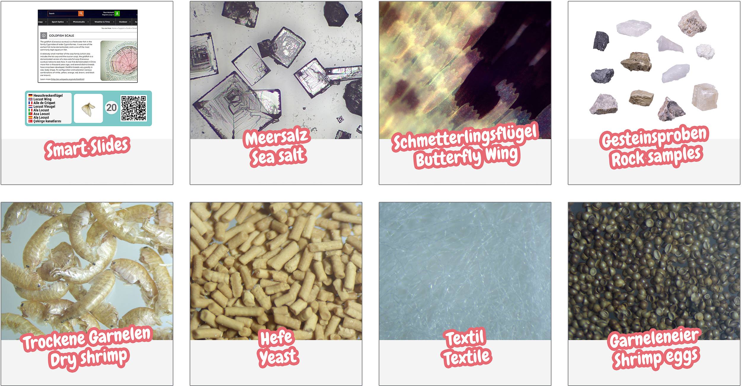 Osiem obrazów w kolaży: Slajdy inteligentne, Sól morska, Skrzydła motyla, Próbki skał, Suszone krewetki, Drożdże, Tkanina, Ikra krewetek.