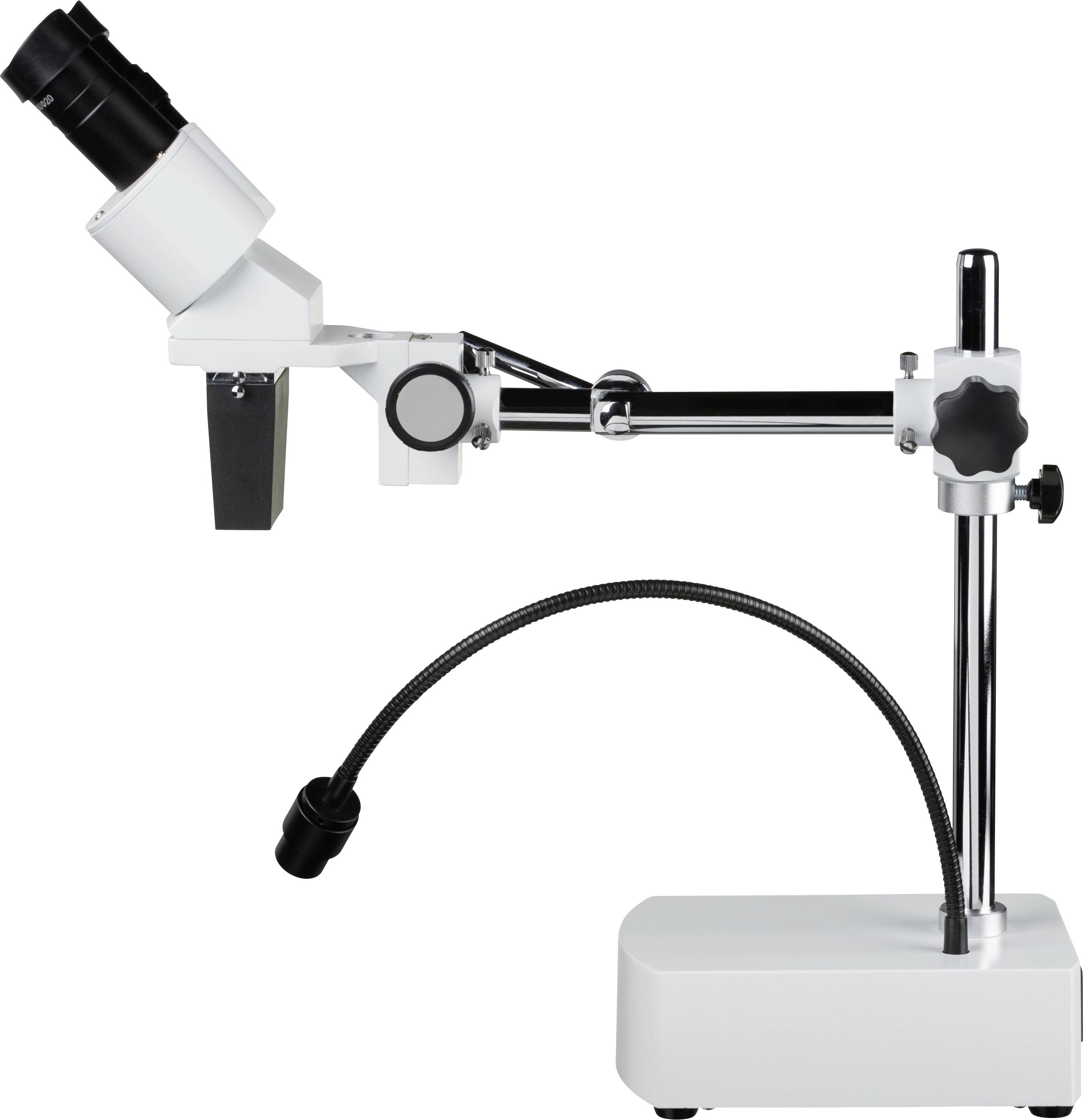 Mikroskop z elastyczną szyją jak u łabędzia do oświetlenia, zamontowane na stabilnej podstawie.