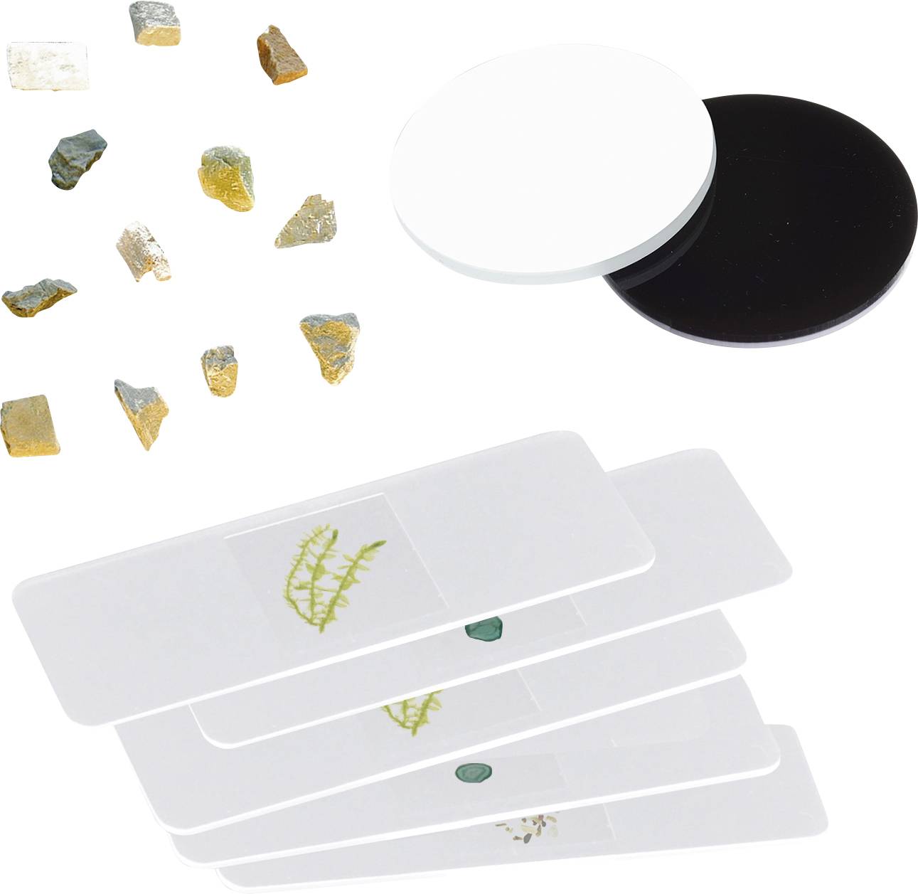 Próbki laboratoryjne: Różne kawałki minerałów, dwie okrągłe płytki (białe, czarne) oraz szkiełka mikroskopowe z przedstawieniami roślinnymi.