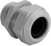 Kaiser Elektro Dławnica kablowa, od 6 mm, do 10.50 mm, PG9, 50 szt.