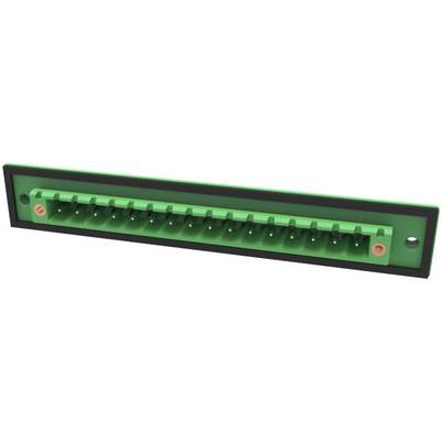 Zielony, prostokątny wtyk elektryczny z wieloma stykami, zamontowany w czarnej ramce.