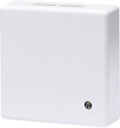 Кімнатний термостат поверхневого монтажу Eberle RTR-E 3545 101110250102 1 шт.