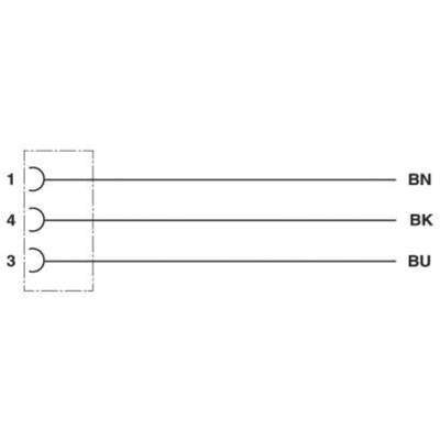 Diagram przedstawia trzy poziome linie: '1' z 'BN', '4' z 'BK' oraz '3' z 'BU'. Linie reprezentują połączenia elektryczne.