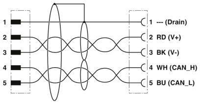 Diagram złącza 5-pinowego z rozmieszczeniem przewodów: Drain, RD (V+), BK (V-), WH (CAN_H), BU (CAN_L). Linia przedstawia rozmieszczenie pinów.