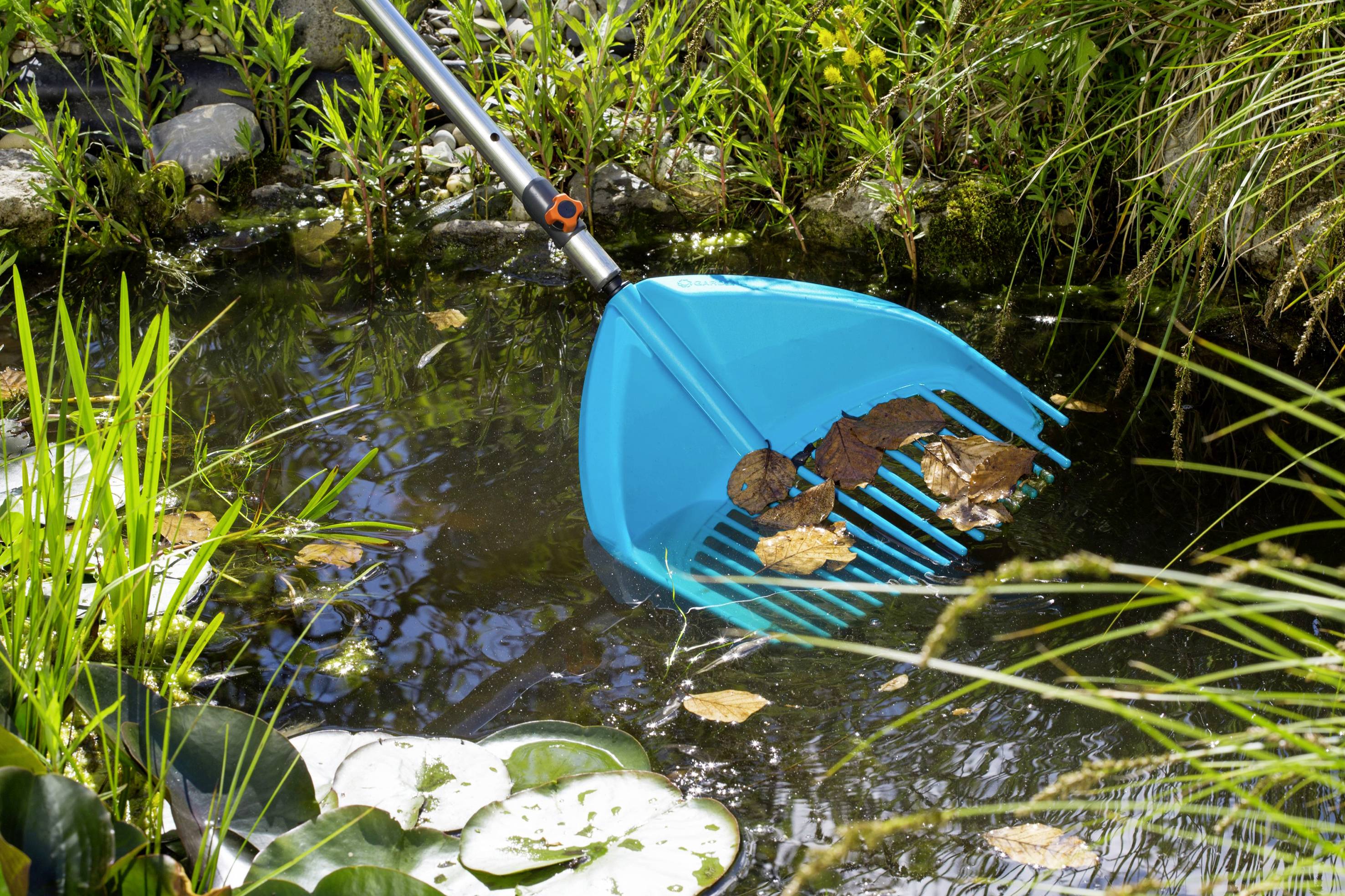 Siatka do stawu służy do usuwania liści z powierzchni oczka wodnego w ogrodzie. Widoczne są liście lotosu.