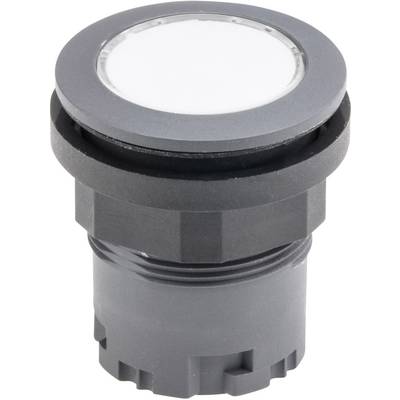 Czarna, cylindryczna lampa LED z białą, okrągłą powierzchnią, przeznaczona do montażu w podłodze lub na ścianach.