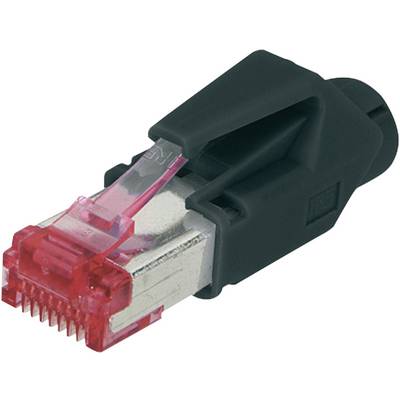 Wtyk Ethernet z czarną obudową i czerwonym zaczepem, używany do podłączenia do sieci.