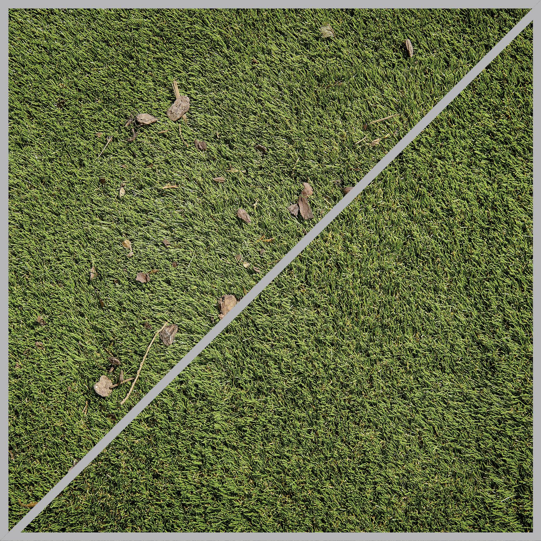 Pole trawiaste, podzielone na przekątnej: po lewej stronie nieskoszone, z liśćmi, po prawej - świeżo skoszone i czyste.