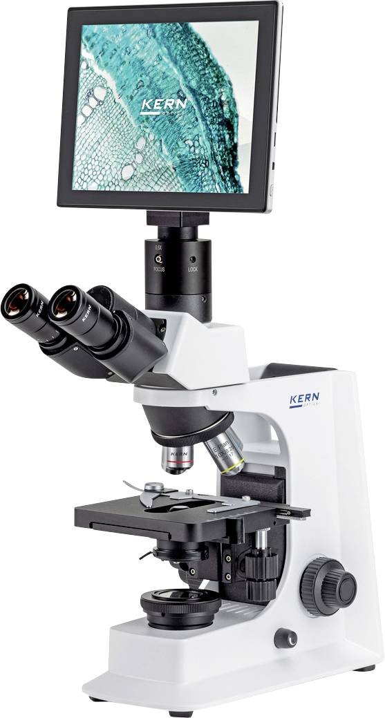 Mikroskop z wyświetlaczem cyfrowym pokazuje powiększony obraz struktury komórkowej. Oznaczenie 'JĄDRO' na mikroskopie i wyświetlaczu.