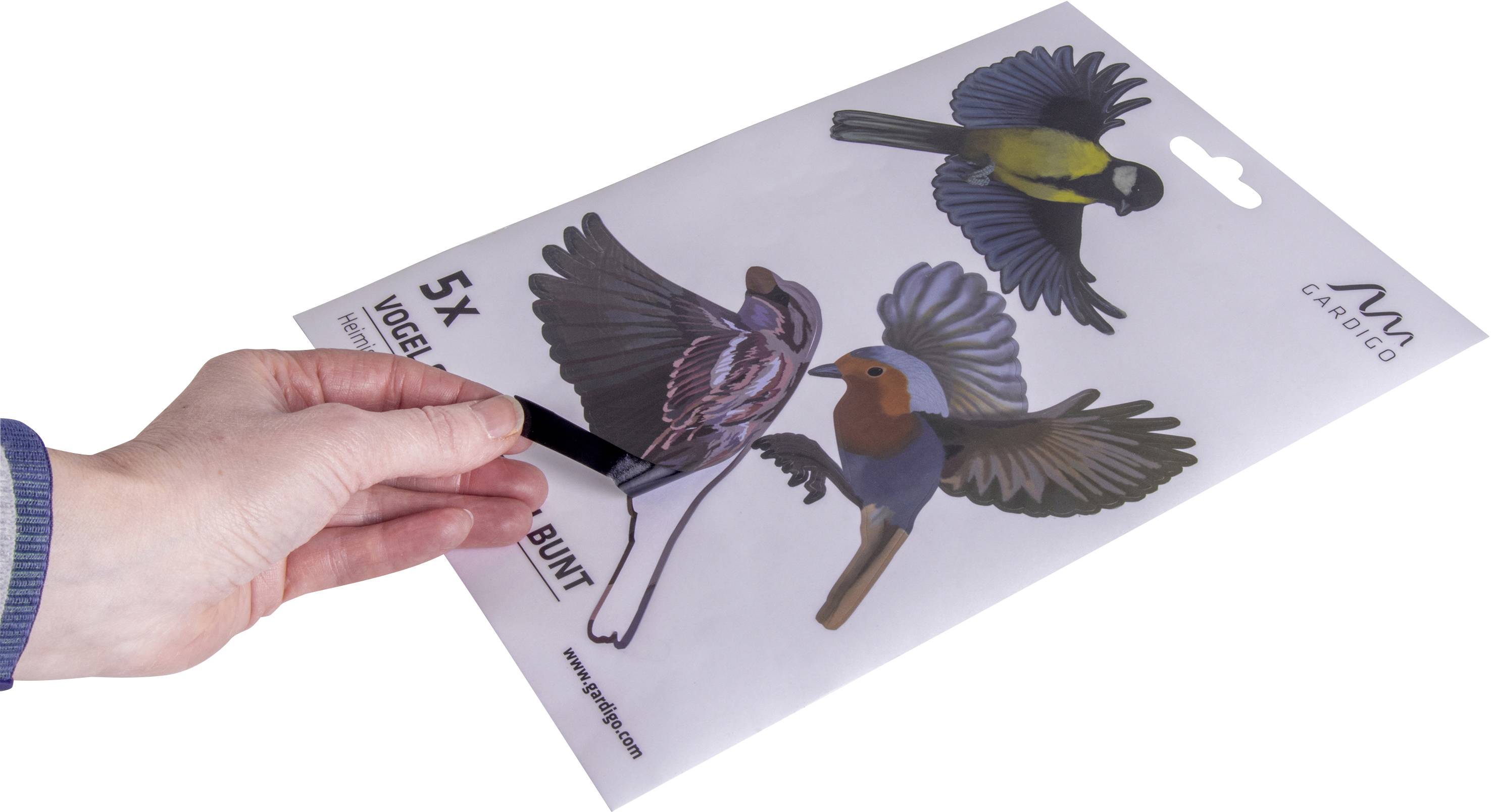 Dłoń trzyma paczkę z pięcioma naklejkami z ptakami w różnych kolorach i gatunkach, w tym sikorkę i rudzika.