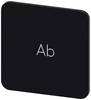 Siemens 3SU1900-0AF16-0AE0 3SU19000AF160AE0 Podkładka BACO BALWE16300, 60 mm, okrągła kwadratowy (S x W) 22 mm x 22 mm Ab czarny, biały 10 szt.
