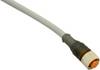 MD Micro Detectors CD12M/0X-100A5 Kabel połączeniowy do czujników CD12M/0X-100A5 1 szt.