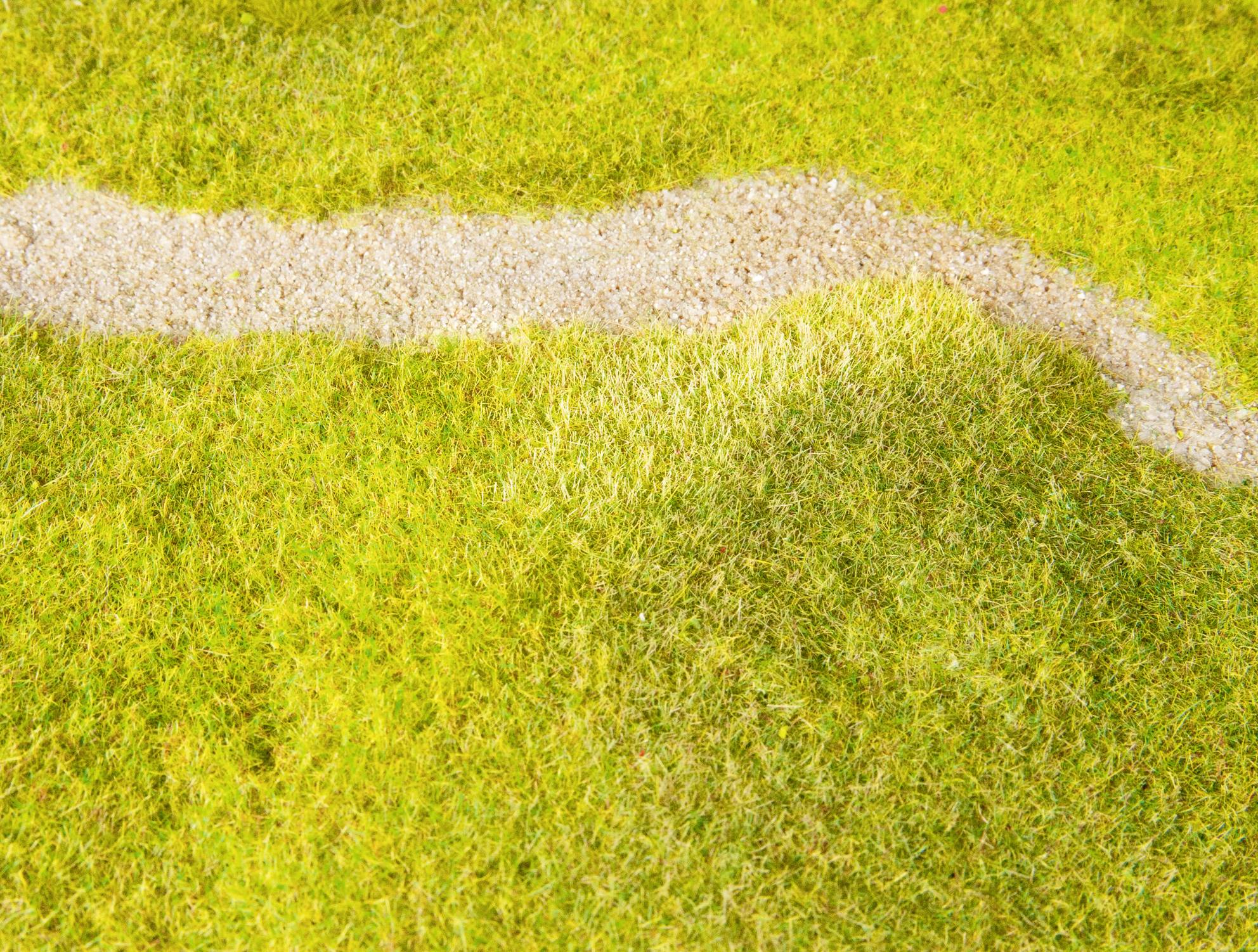 Wąska, krzywiznami wijąca się piaszczysta ścieżka biegnie przez rozległą, zieloną trawiastą przestrzeń.