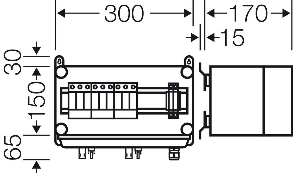 Rysunek techniczny urządzenia z wymiarami w milimetrach: szerokość 300, głębokość 170, wysokość 65. Przedstawia złącza kablowe i punkty mocowania.