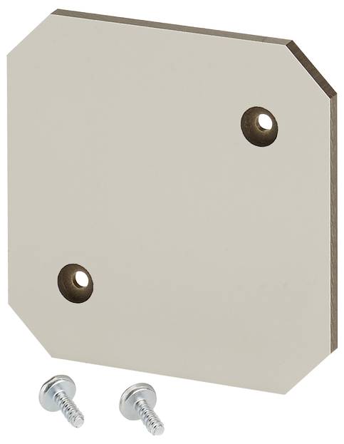 Hensel 62000256 Płyta montażowa z materiału izolacyjnego Hensel o grubości 4mm EB MP 04 Płytka montażowa 1 szt.
